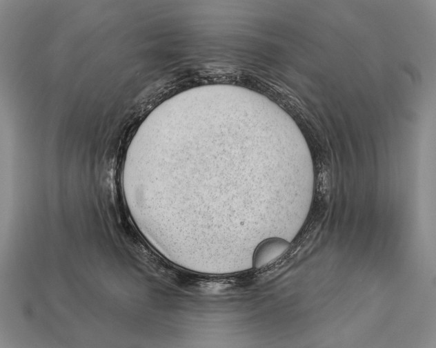 X0000112980662200909241221