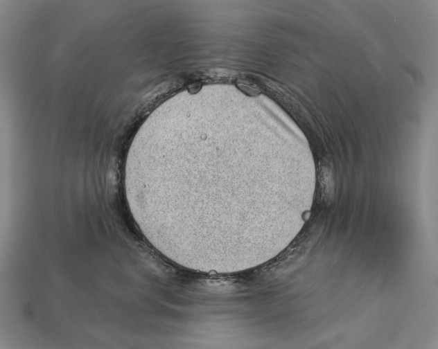 X0000112980668200909241221