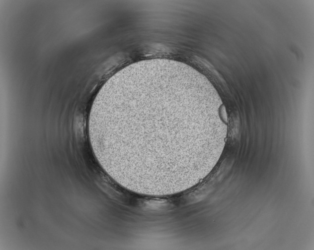 X0000112980669200909241221