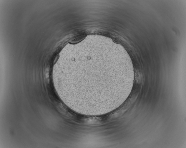 X0000112980670200909241221