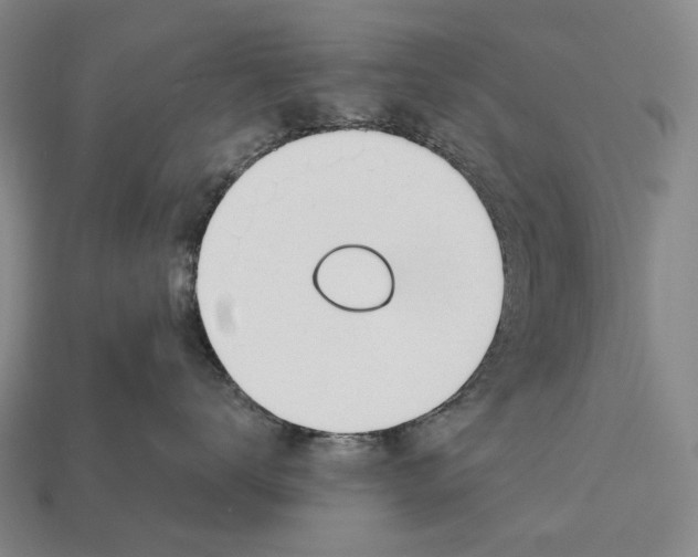 X0000112980672200909241221
