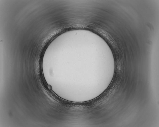 X0000112980677200909241220
