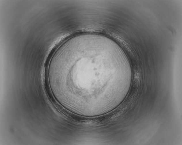 X0000112980678200909241220