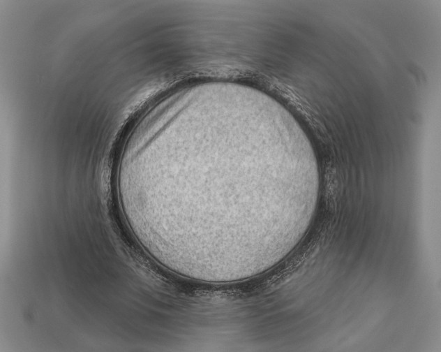 X0000112980679200909241220