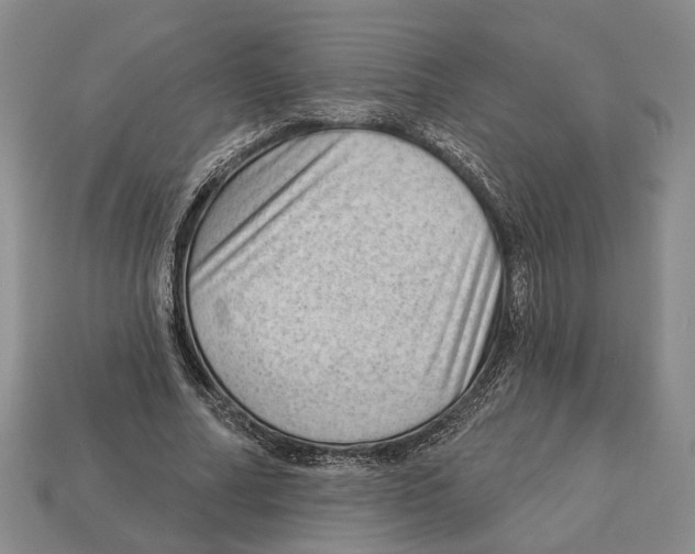 X0000112980682200909241220