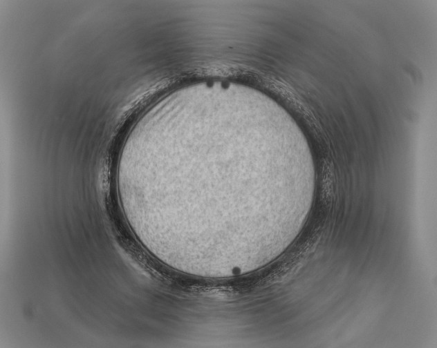 X0000112980683200909241220