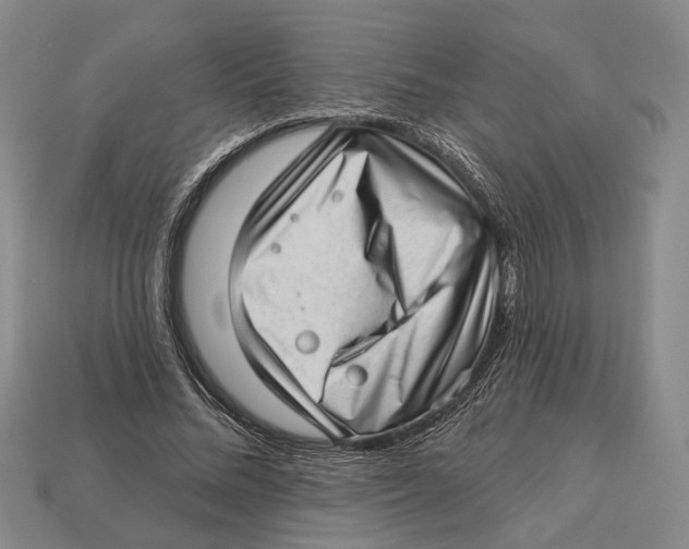 X0000112980684200909241220