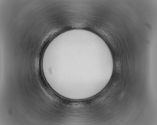 X0000112980686200909241220