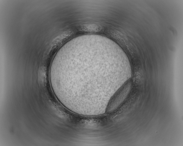 X0000112980688200909241220
