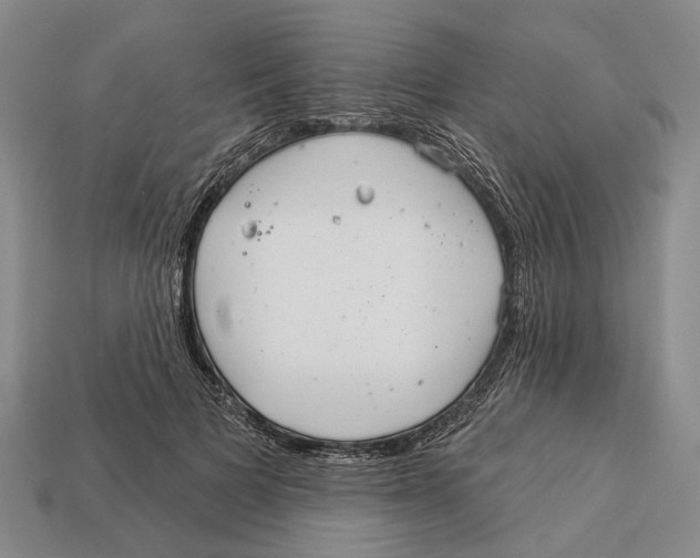 X0000112980697200909241220
