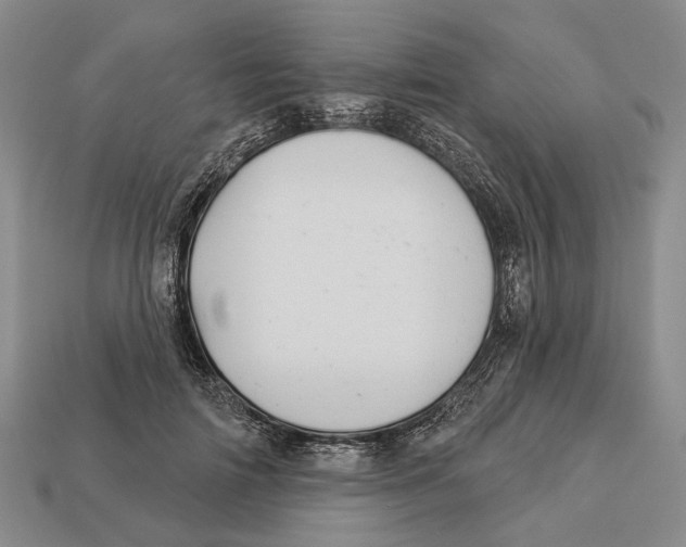 X0000112980698200909241220