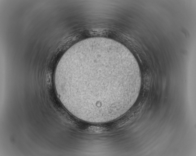 X0000112980699200909241220