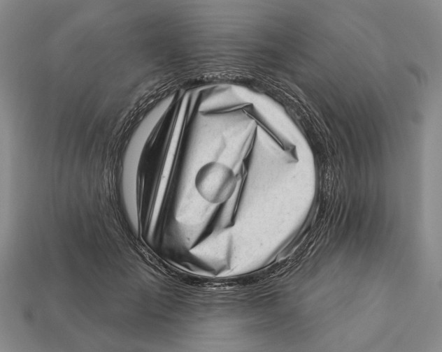 X0000112980701200909241220