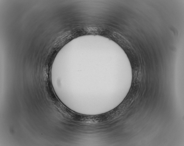 X0000112980702200909241220