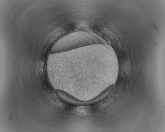 X0000112980708200909241220
