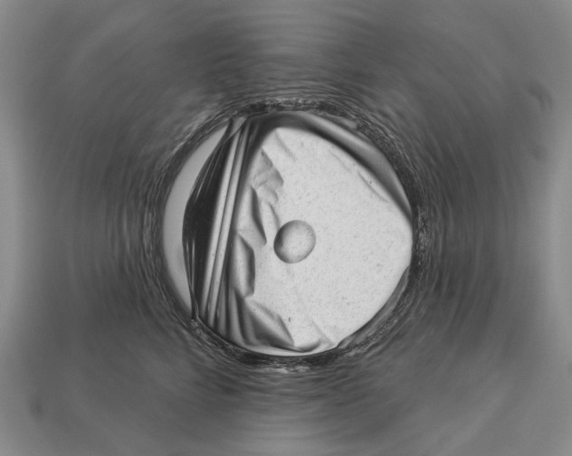 X0000112980712200909241220