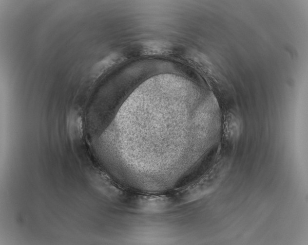 X0000112980716200909241220