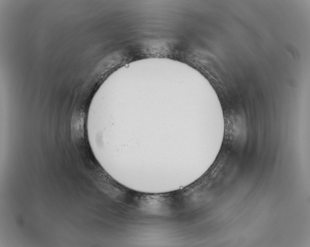 X0000112980717200909241220