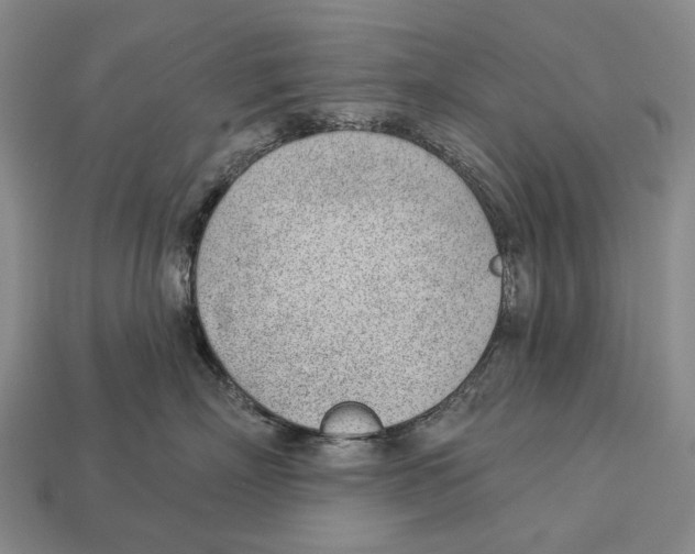 X0000112980718200909241220