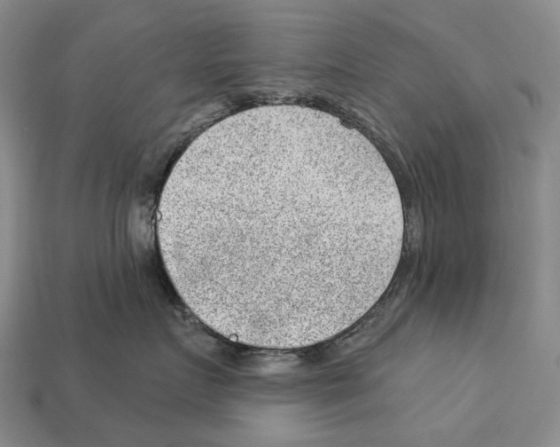 X0000112980719200909241220