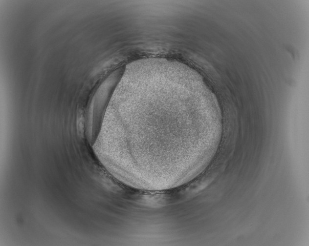 X0000112980720200909241220