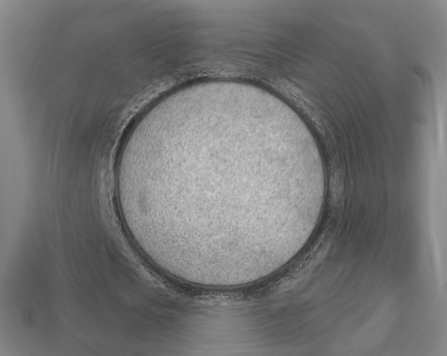 X0000112980721200909241219