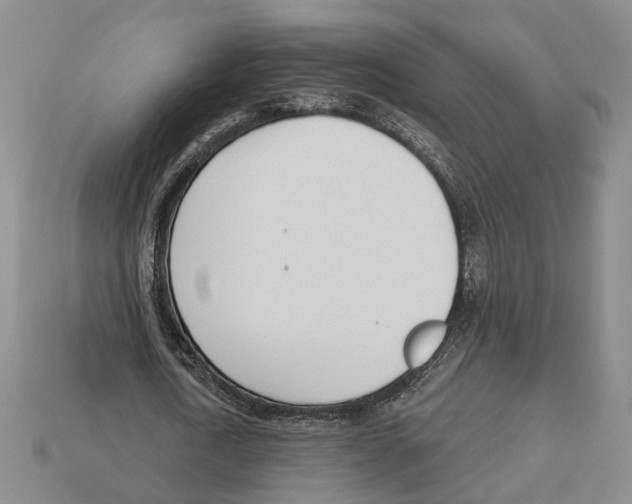 X0000112980722200909241219
