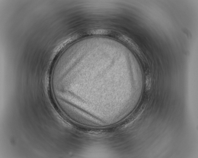 X0000112980725200909241219