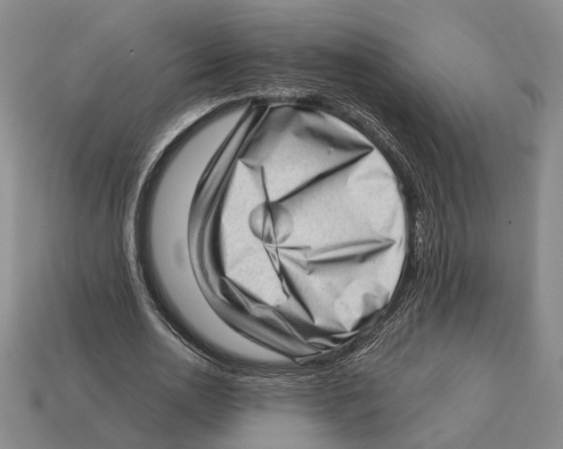 X0000112980726200909241219
