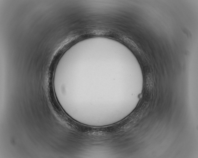 X0000112980730200909241219