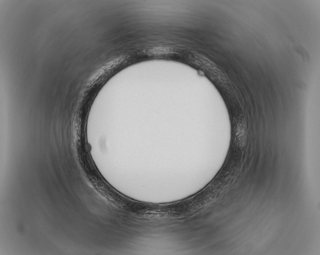 X0000112980732200909241219