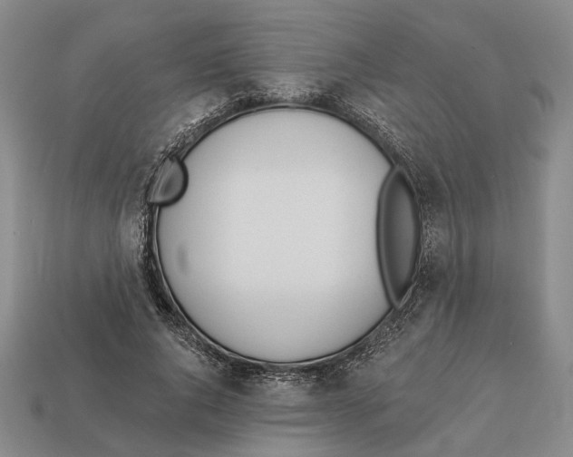 X0000112980736200909241219