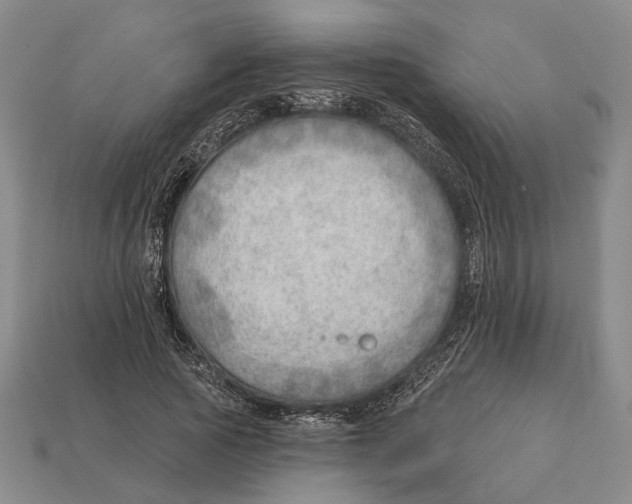 X0000112980737200909241219