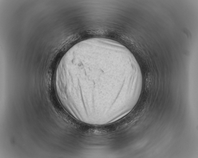 X0000112980739200909241219