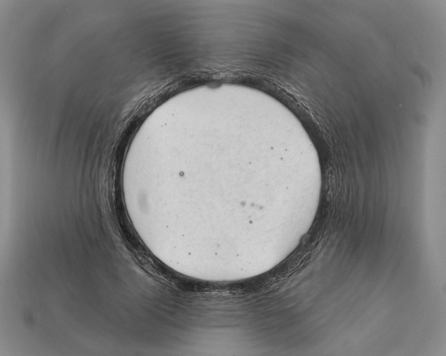 X0000112980740200909241219