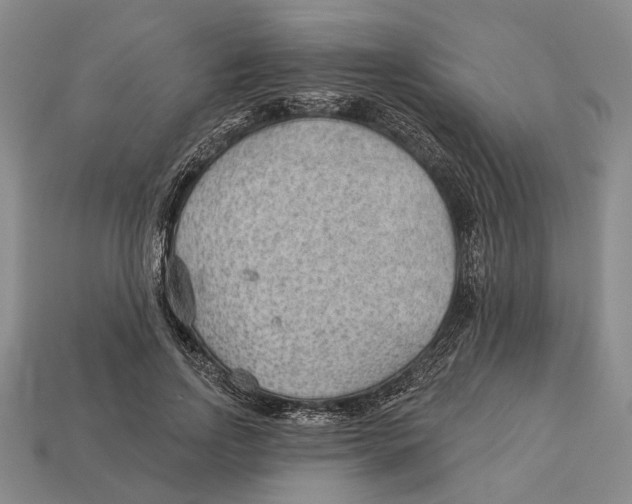 X0000112980742200909241219