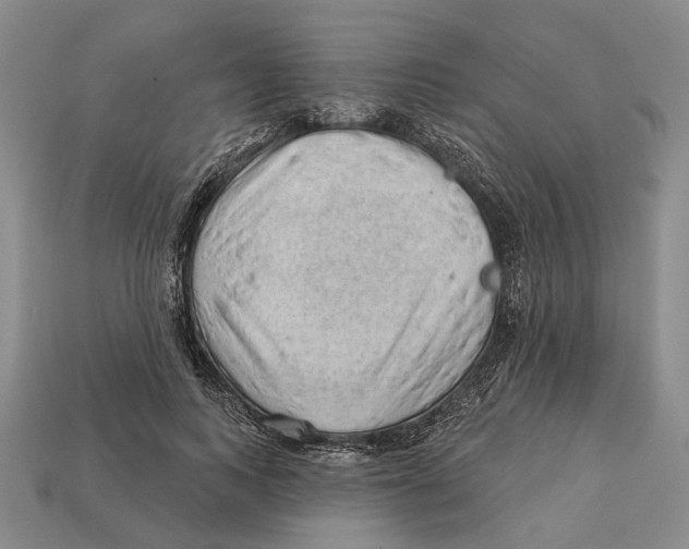 X0000112980743200909241220