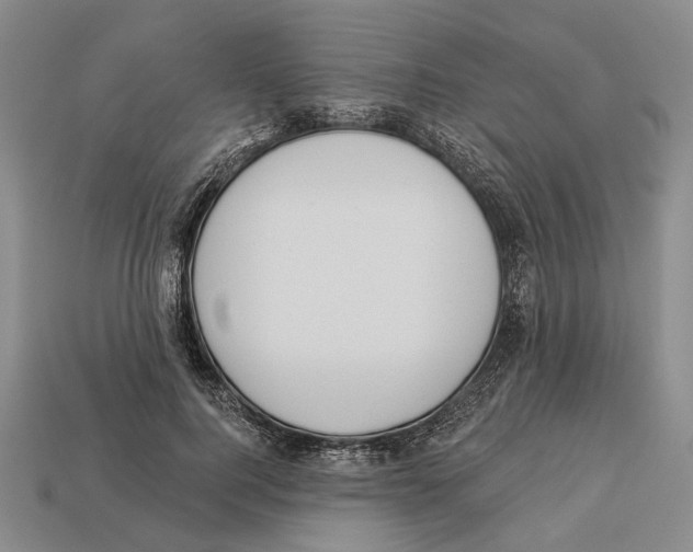 X0000112980744200909241220