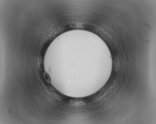 X0000112980747200909241220