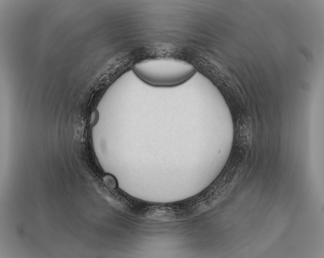 X0000112980750200909241220