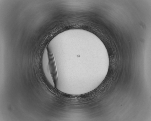 X0000112980752200909241220