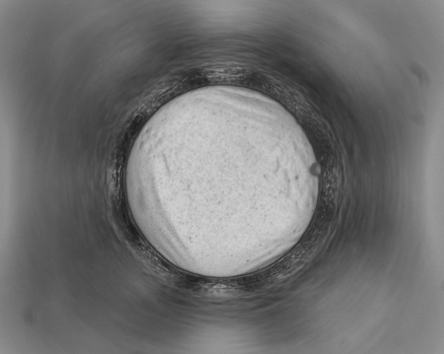 X0000112980755200909241220