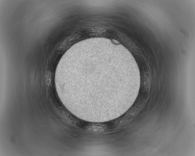 X0000112980758200909241220