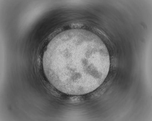 X0000112980761200909241220