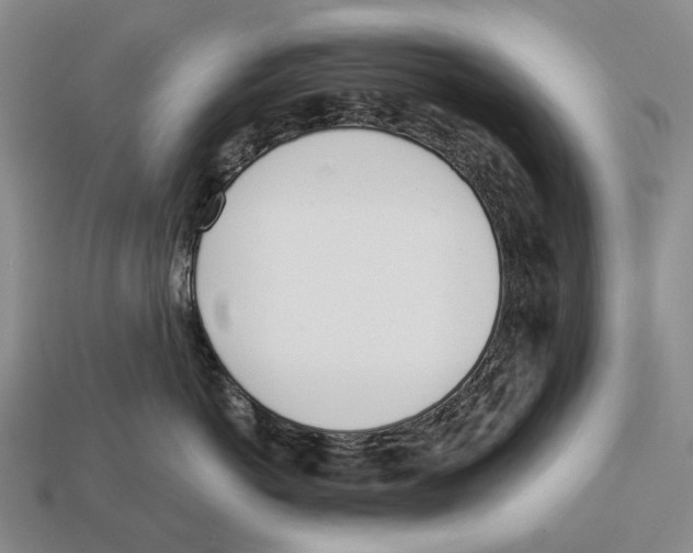X0000112980766200909241220