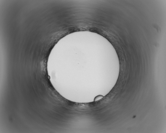X0000112980768200909241220