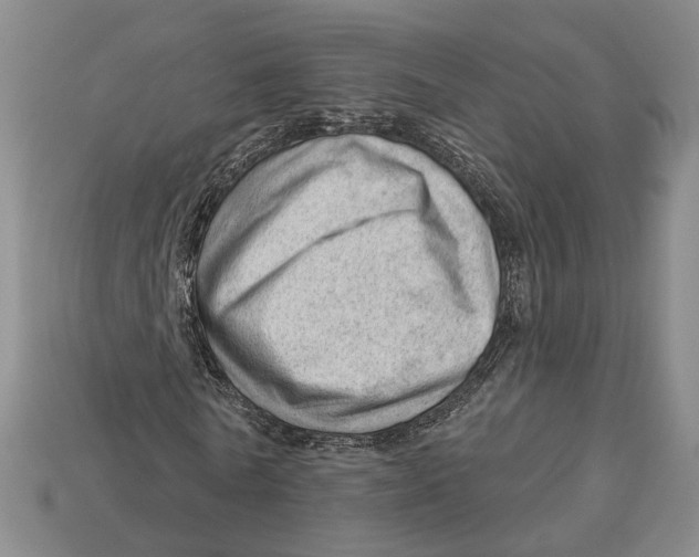X0000112980770200909241219