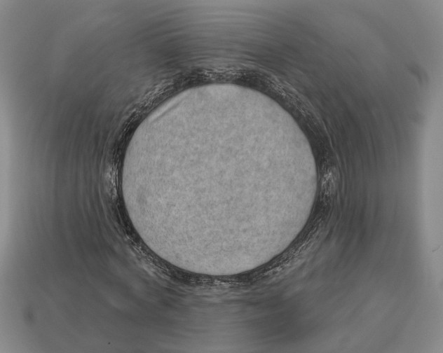 X0000112980772200909241219