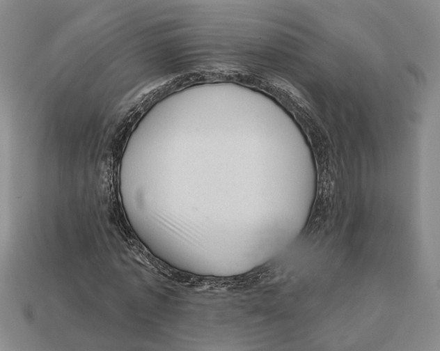 X0000112980773200909241219