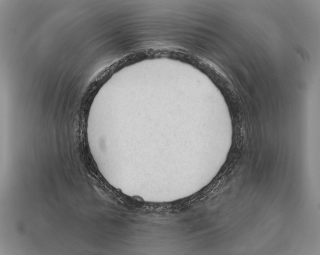 X0000112980775200909241219